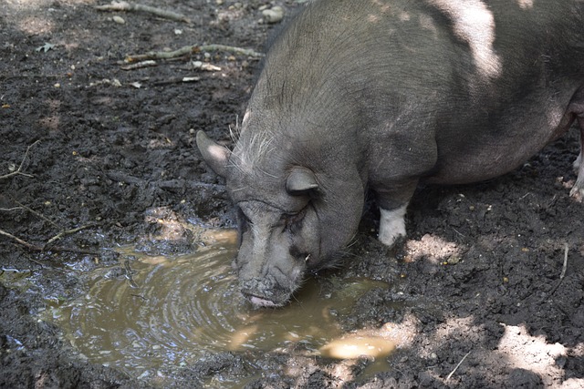 效限制住了 效限制住了