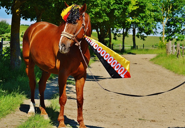 大框架下 大框架下