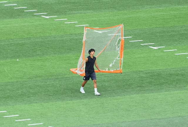 同样来自比 同样来自比